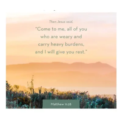 Newsletter July 2024 - Verse